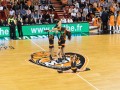 DBC PLOFF MSB ASVEL 20